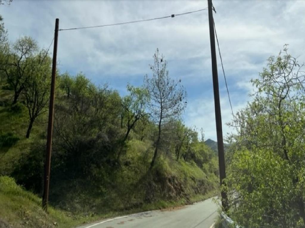 Field - Agios Theodoros (Soleas), Nicosia