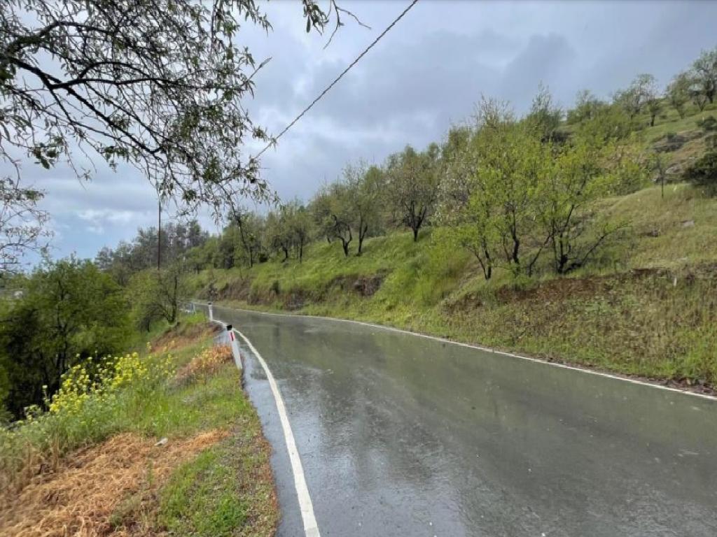 Field - Agios Theodoros (Soleas), Nicosia