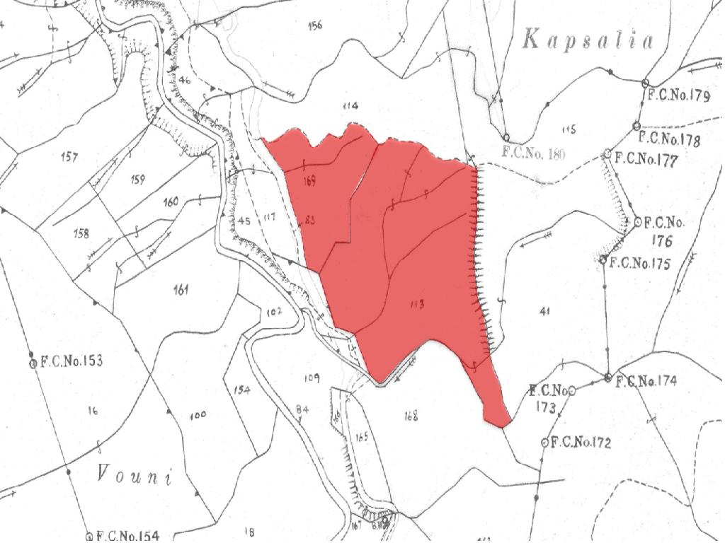 Field-Agios Theodoros (Soleas)-CP10025