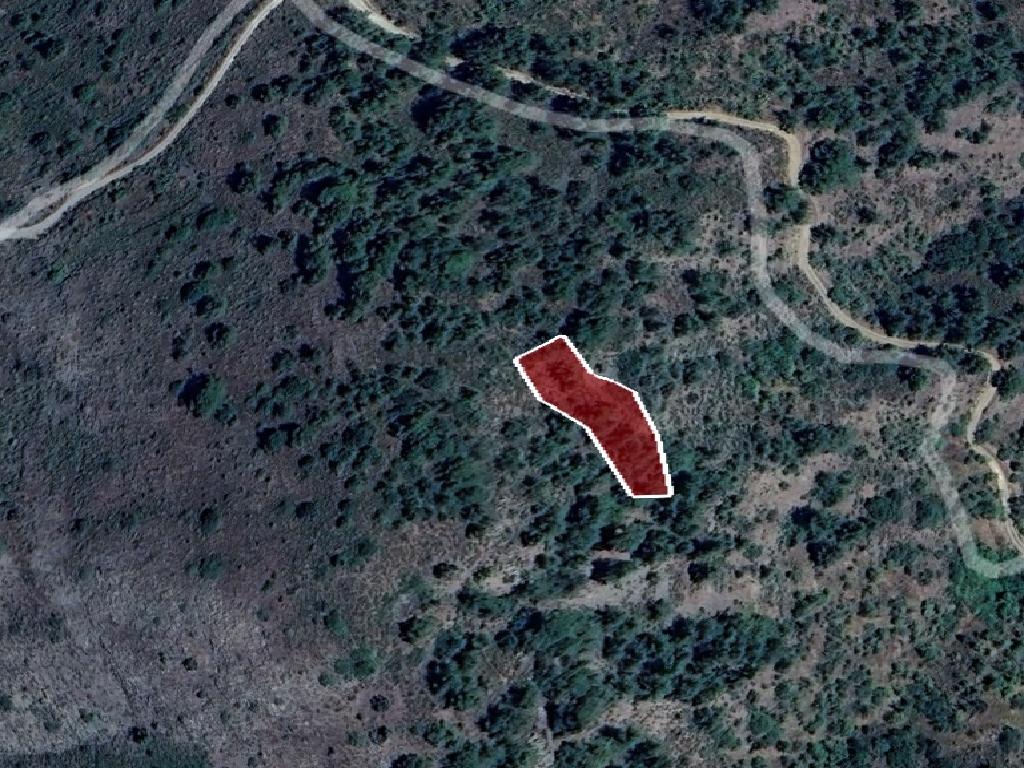 Field - Platanistasa, Nicosia