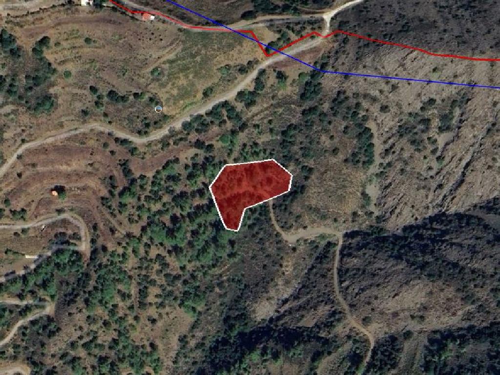 Field-Sykopetra-PR41799
