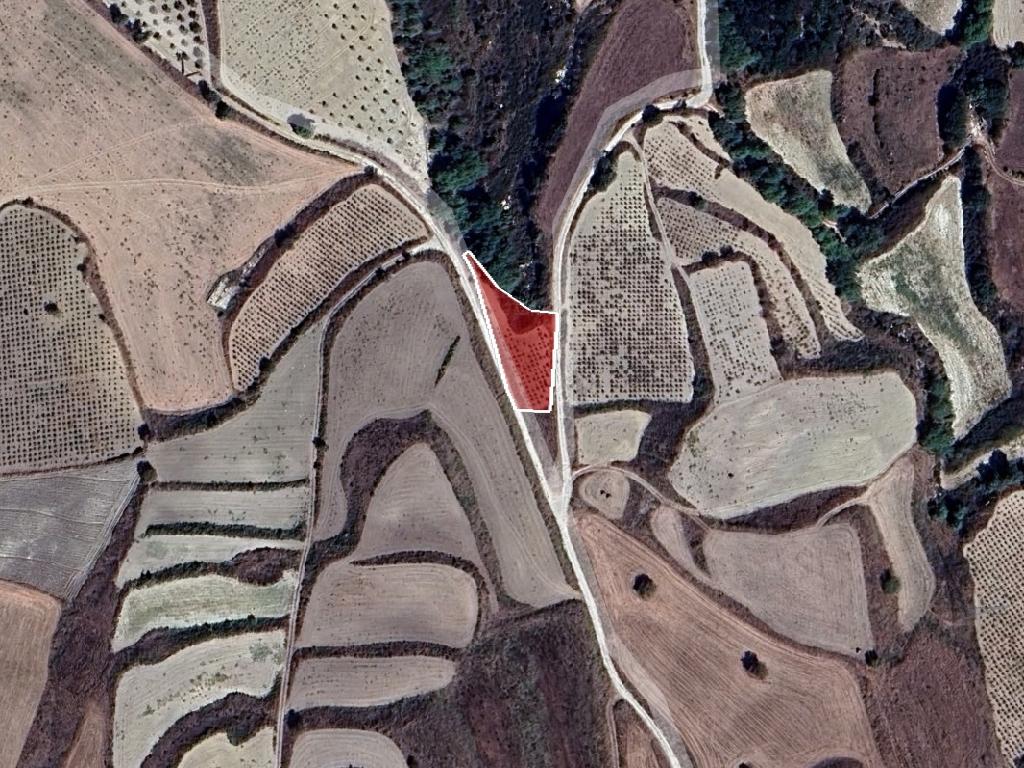 Field-Stroumpi-PR41906