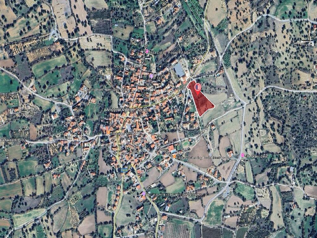 Field-Anogira-PR42269