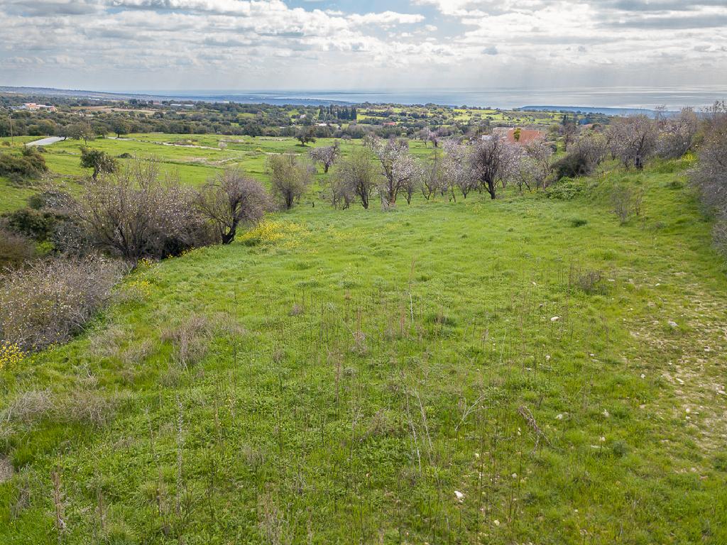 Field-Anogira-PR42269