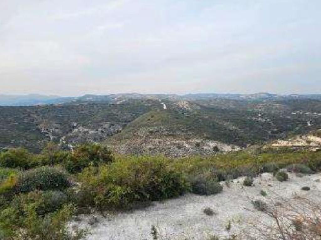 Field - Kalavasos, Larnaca