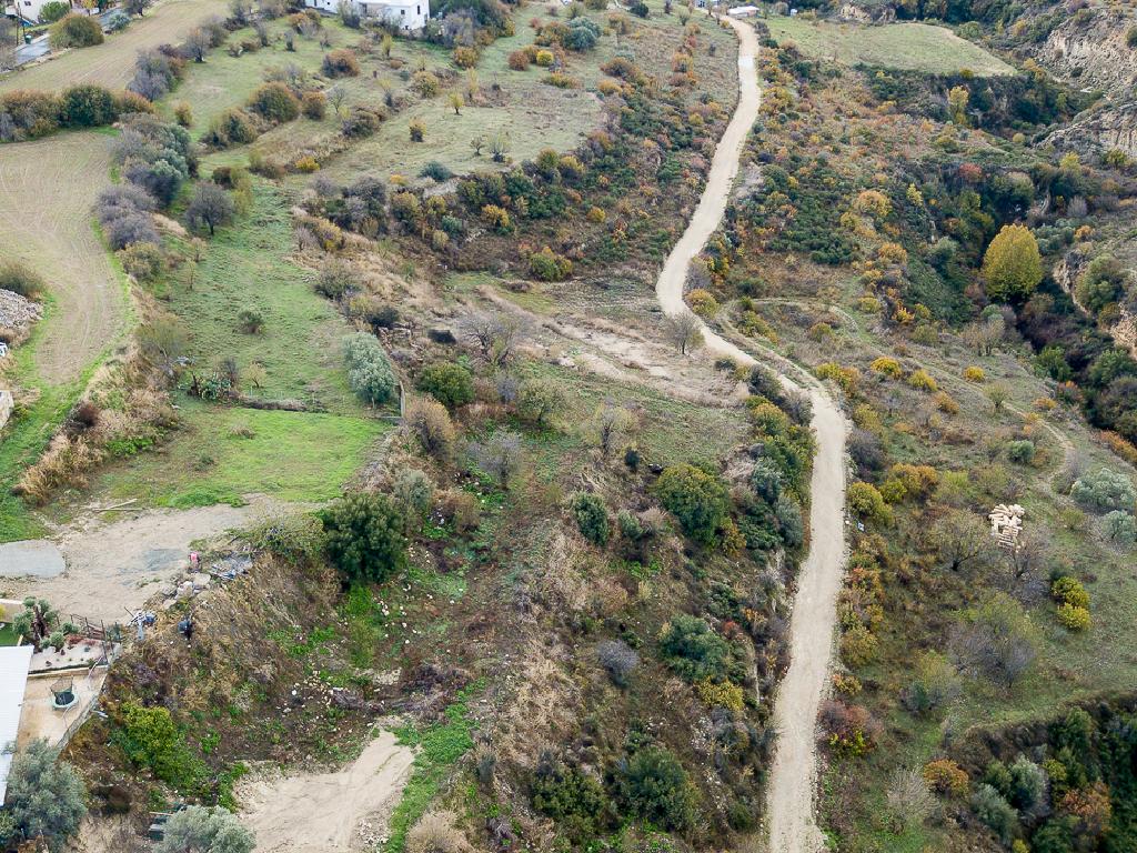 Field-Agios Amvrosios-PR13833