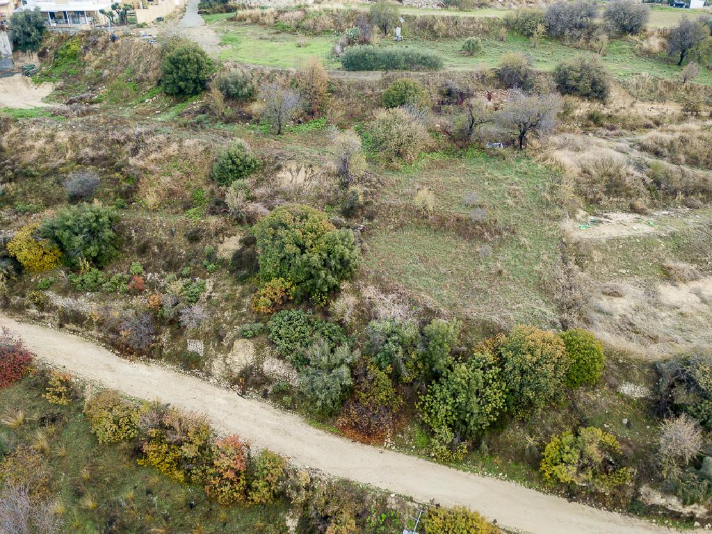 Field-Agios Amvrosios-PR13833