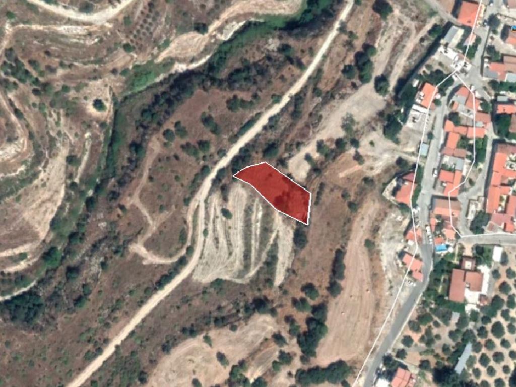 Field-Agios Amvrosios-PR13833
