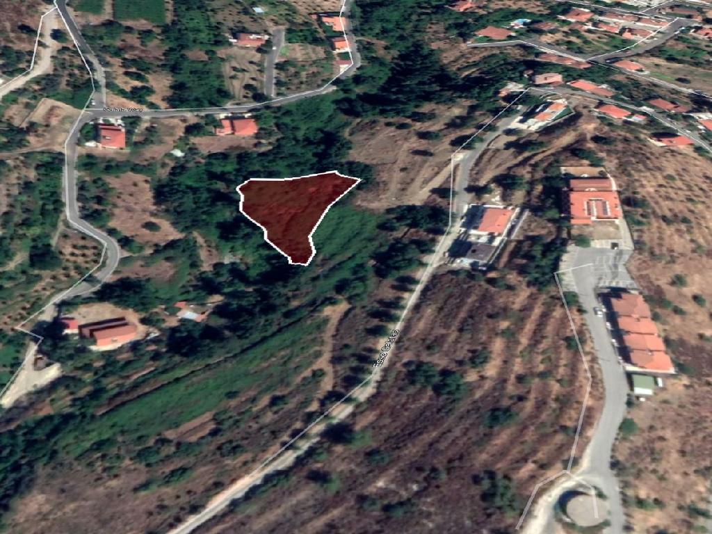 Field-Galata-PR11938