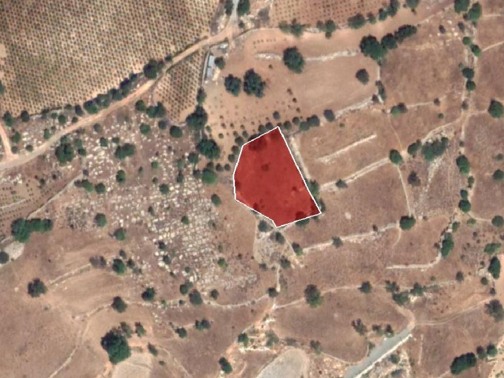 Field-Pachna-PR12423