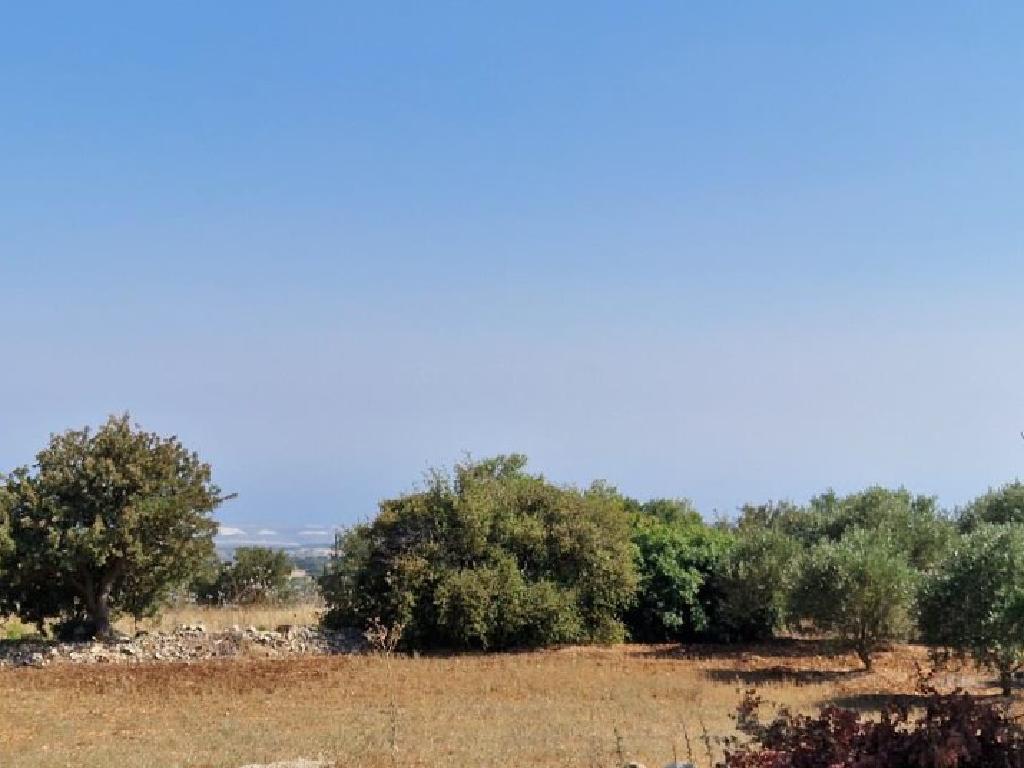 Field-Pachna-PR12423