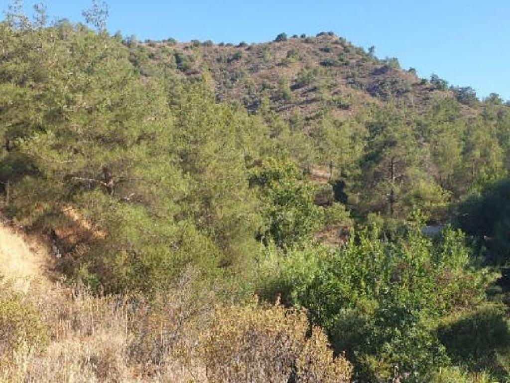 Field-Agios Mamas-PR12633