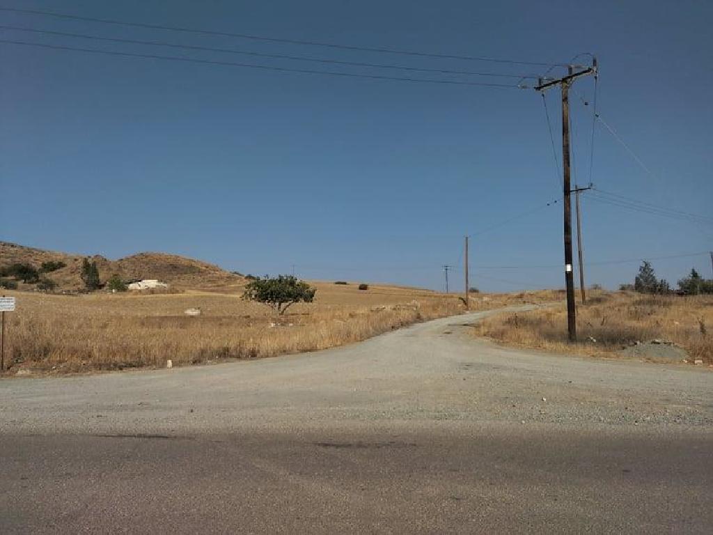 Field - Troulloi, Larnaca