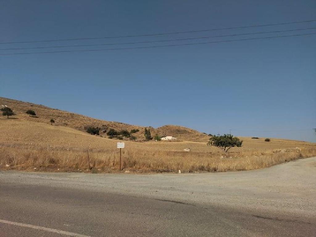 Field - Troulloi, Larnaca