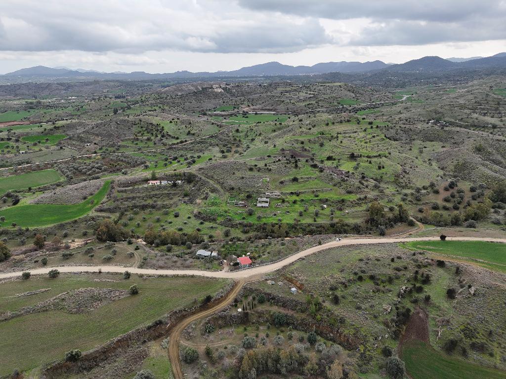 Field - Analiontas, Nicosia