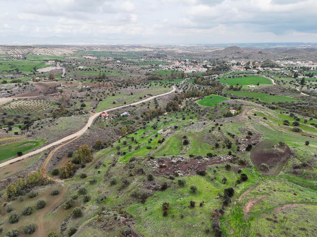 Field - Analiontas, Nicosia