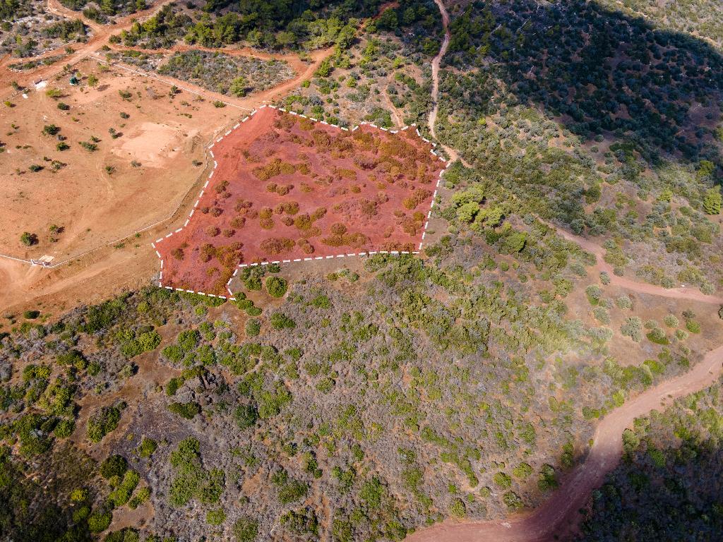 Field (Share) - Neo Chorio, Paphos