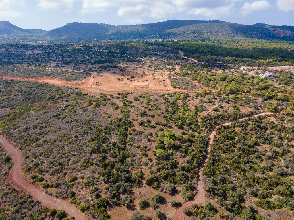 Field (Share) - Neo Chorio, Paphos