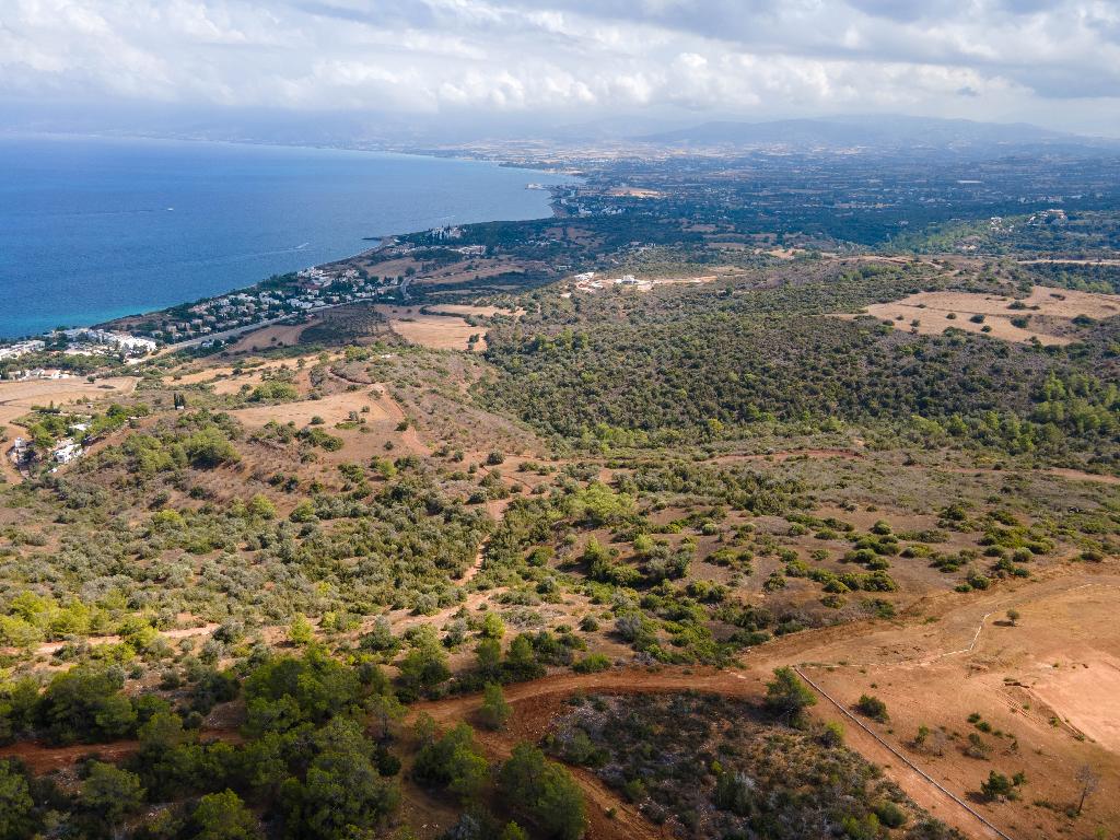 Field (Share) - Neo Chorio, Paphos