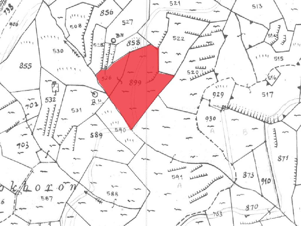 Field-Farmakas-PR37428