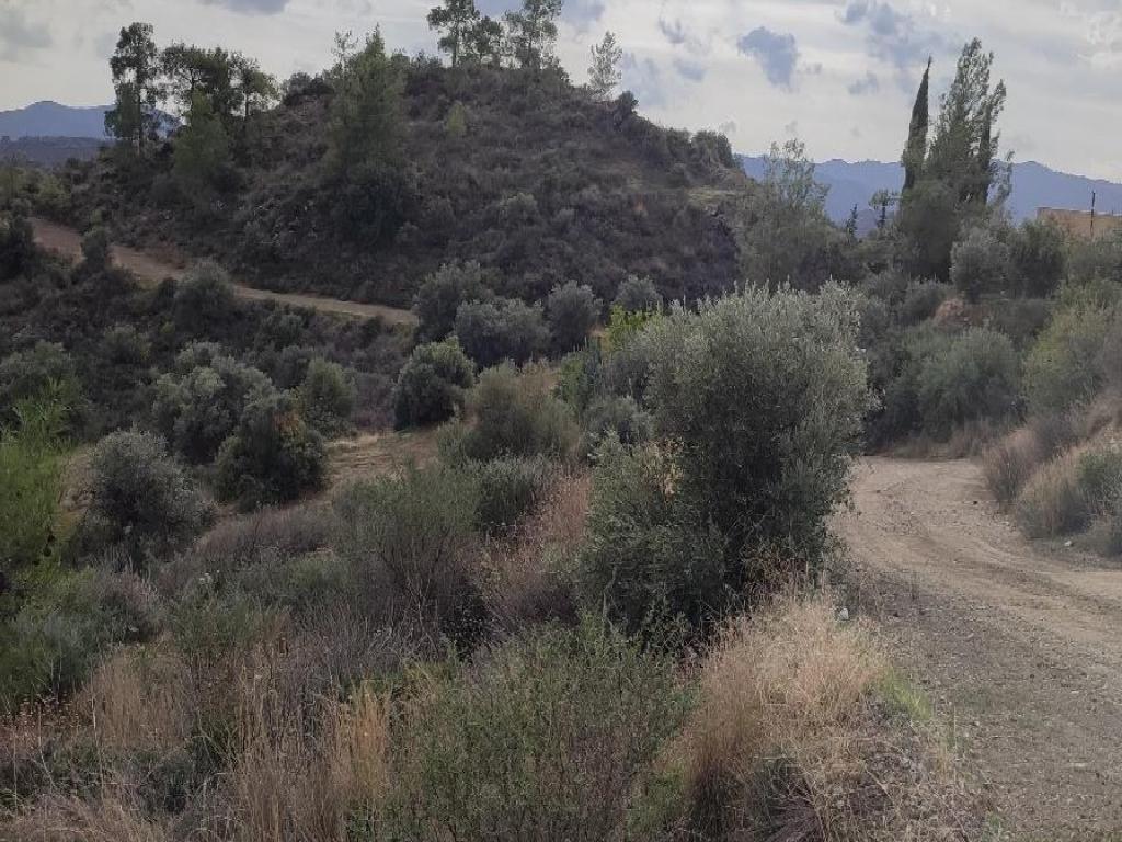 Field-Lageia-PR36285