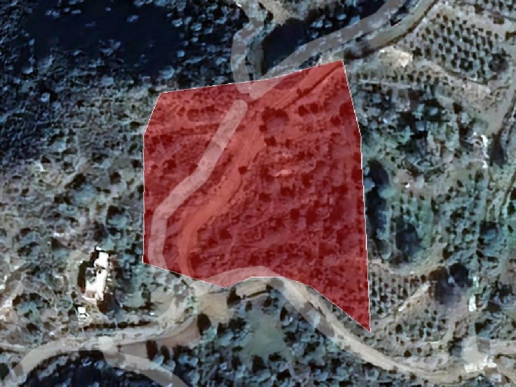 Field-Lageia-PR36285
