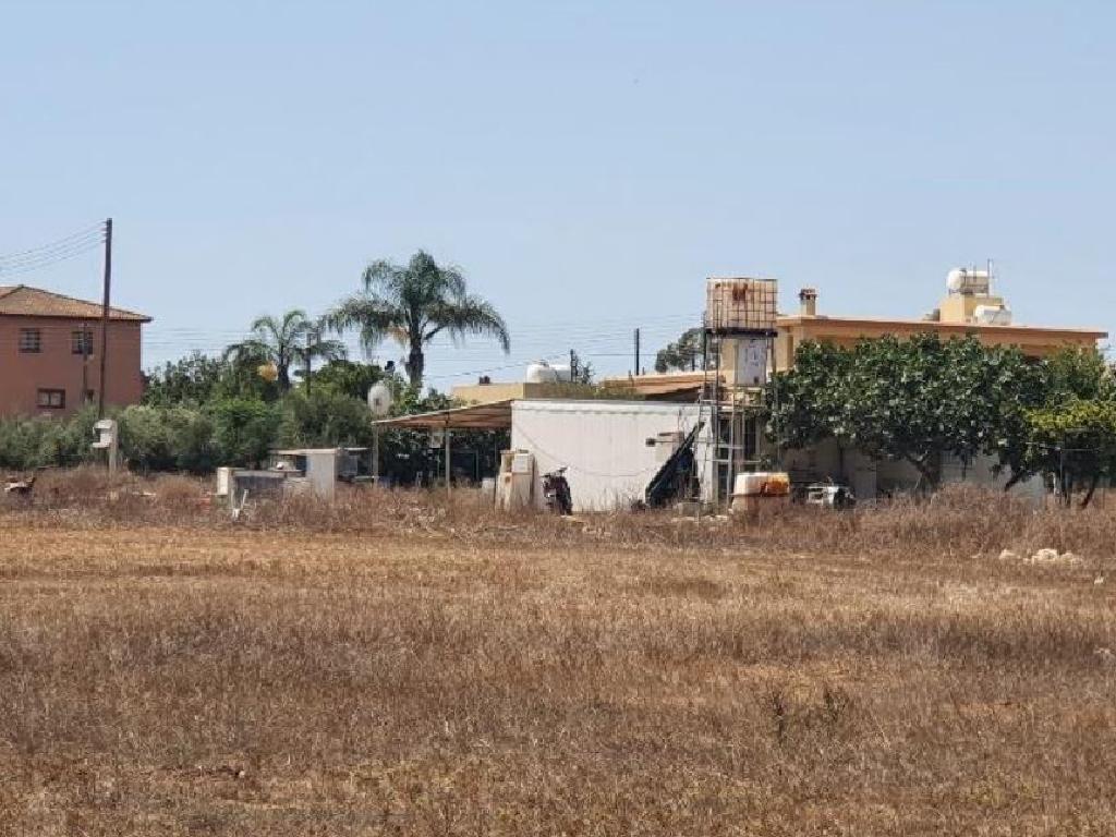 Field - Deryneia, Famagusta