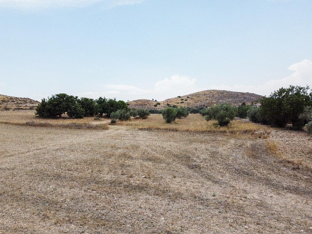 Field-Troulloi-PR38171