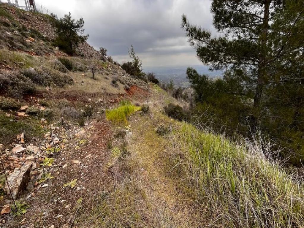 Field-Fikardou-PR39216
