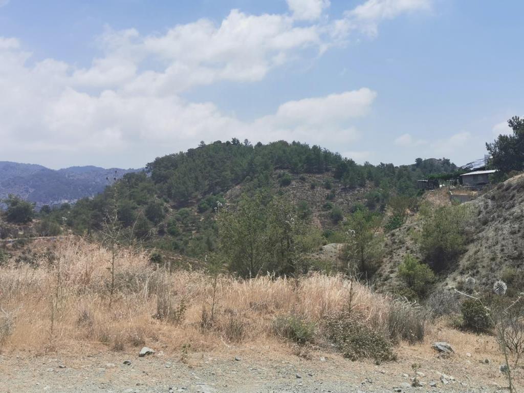 Field-Pelendri-PR39527