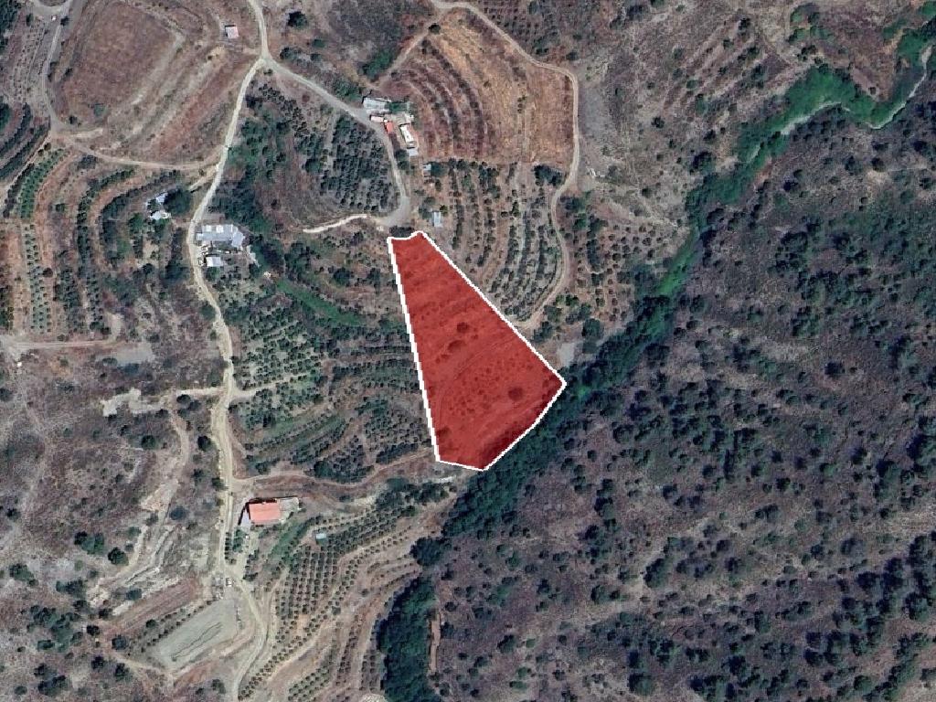 Field-Pelendri-PR39527