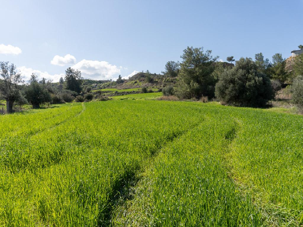 Field-Klirou-PR39871