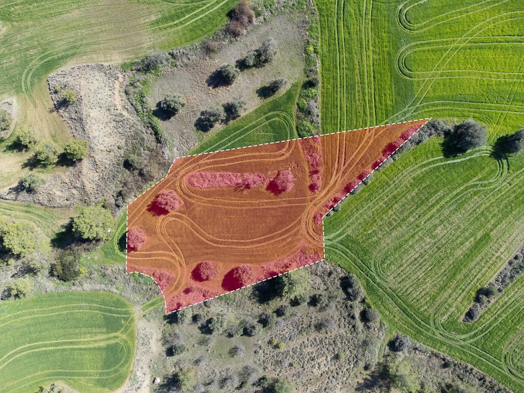 Field-Klirou-PR39871