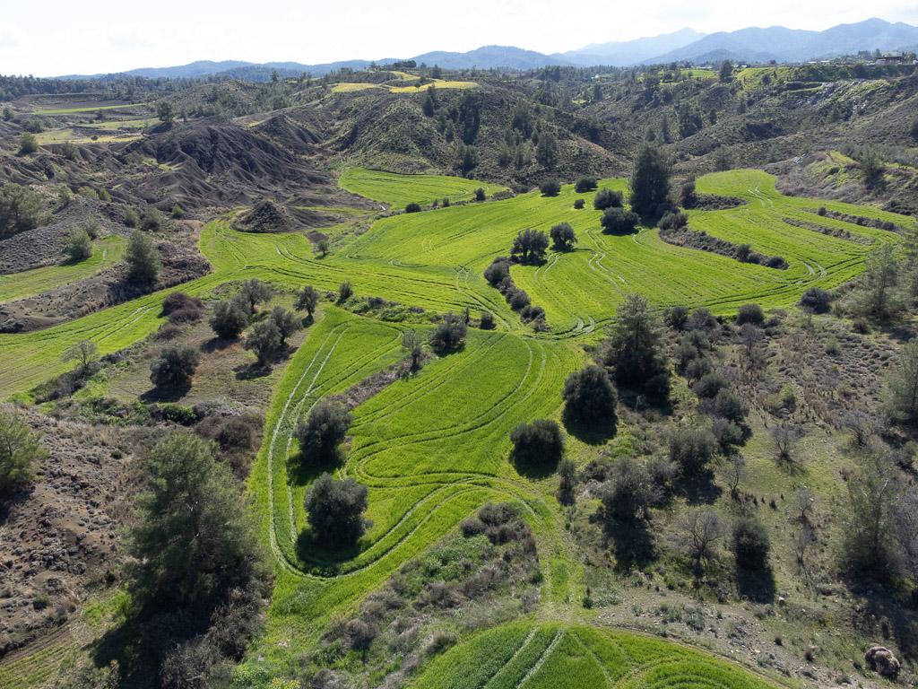 Field-Klirou-PR39871