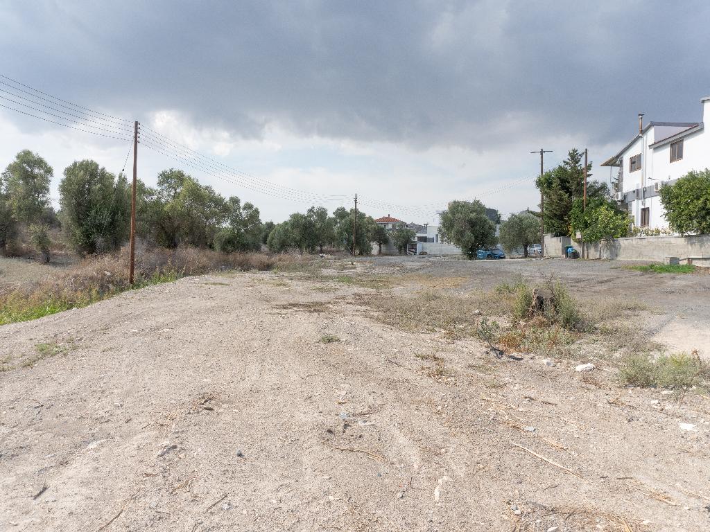 Field-Lympia-PR39971