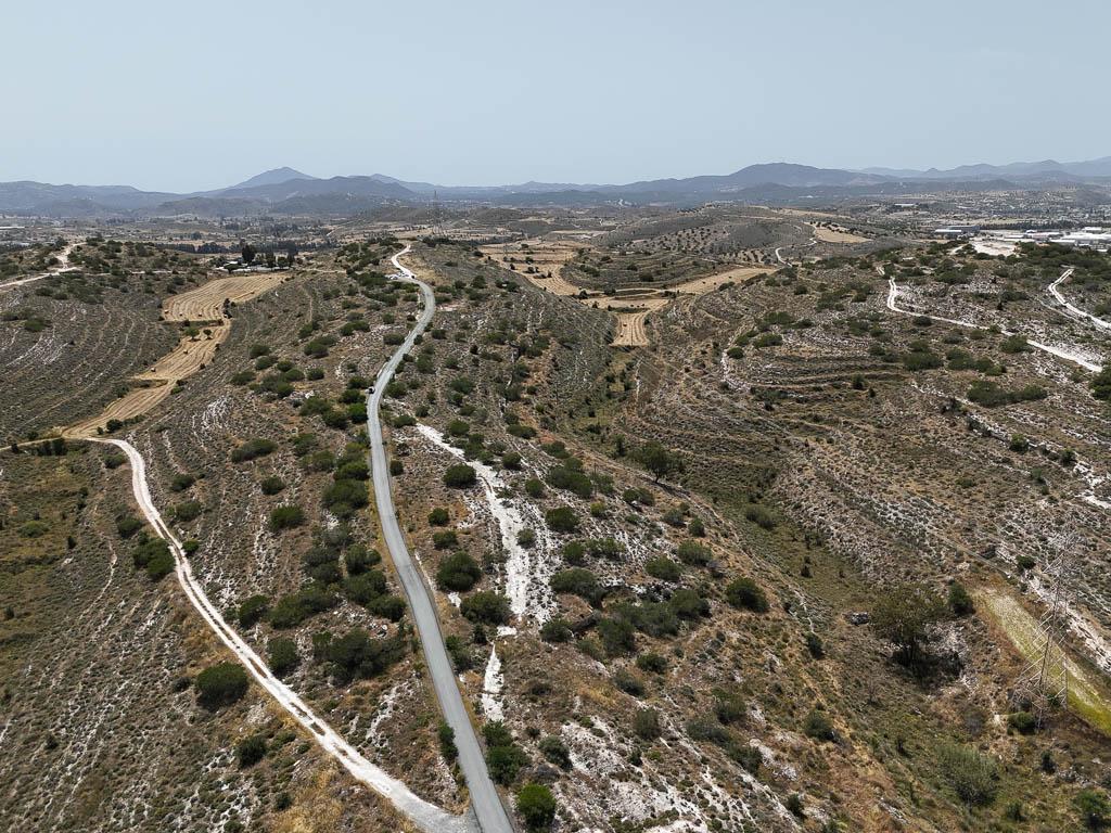 Field-Dali-PR40464