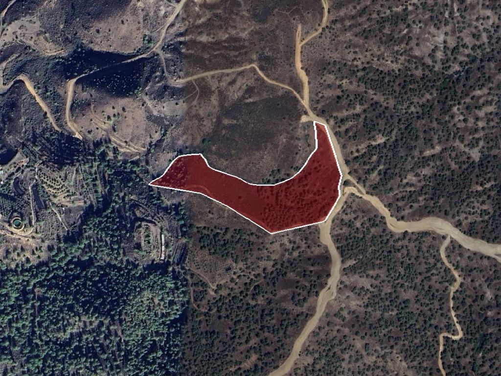 Field-Kalopanagiotis-PR40664