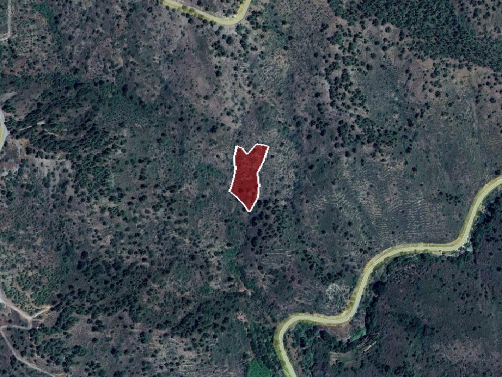 Field - Platanistasa, Nicosia