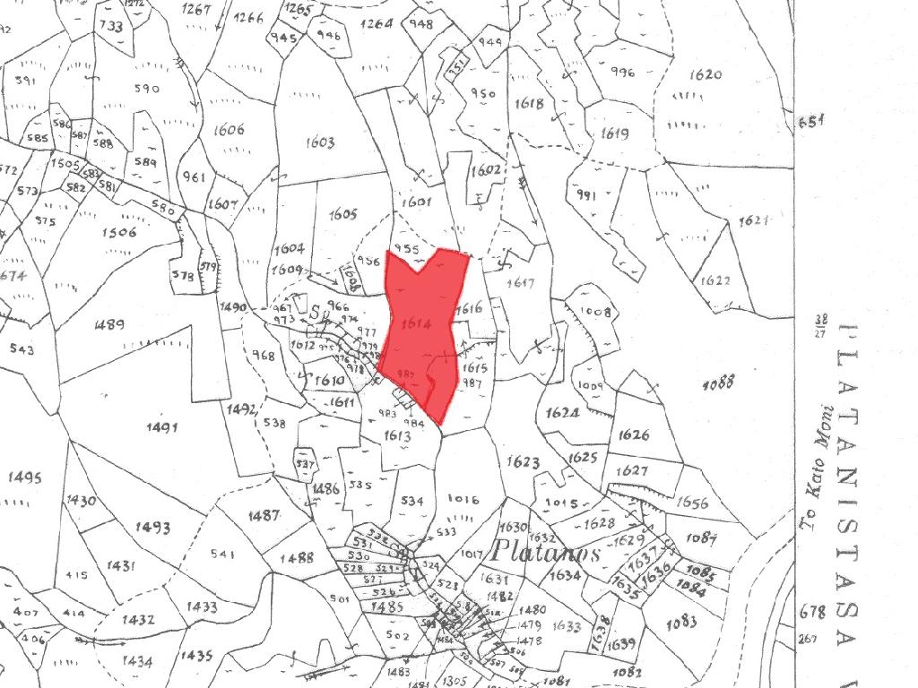 Field - Platanistasa, Nicosia