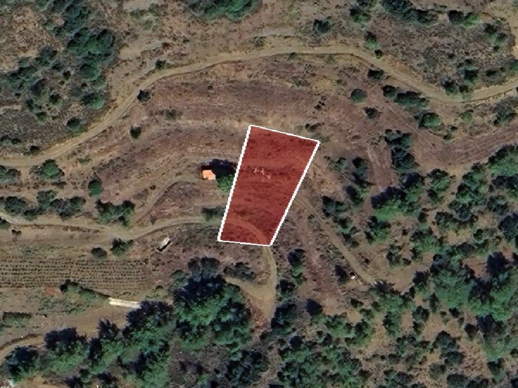 Field-Sykopetra-PR41800
