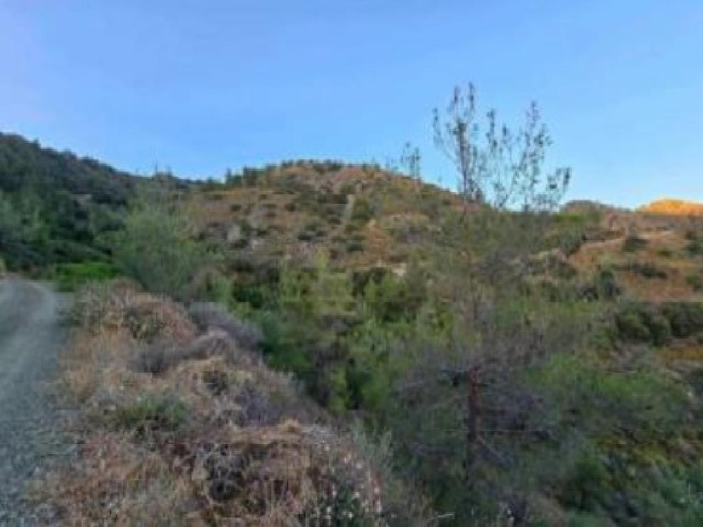 Field-Agioi Vavatsinias-PR41897
