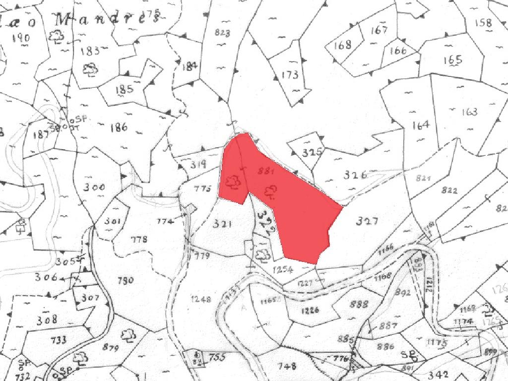 Field-Agioi Vavatsinias-PR41897