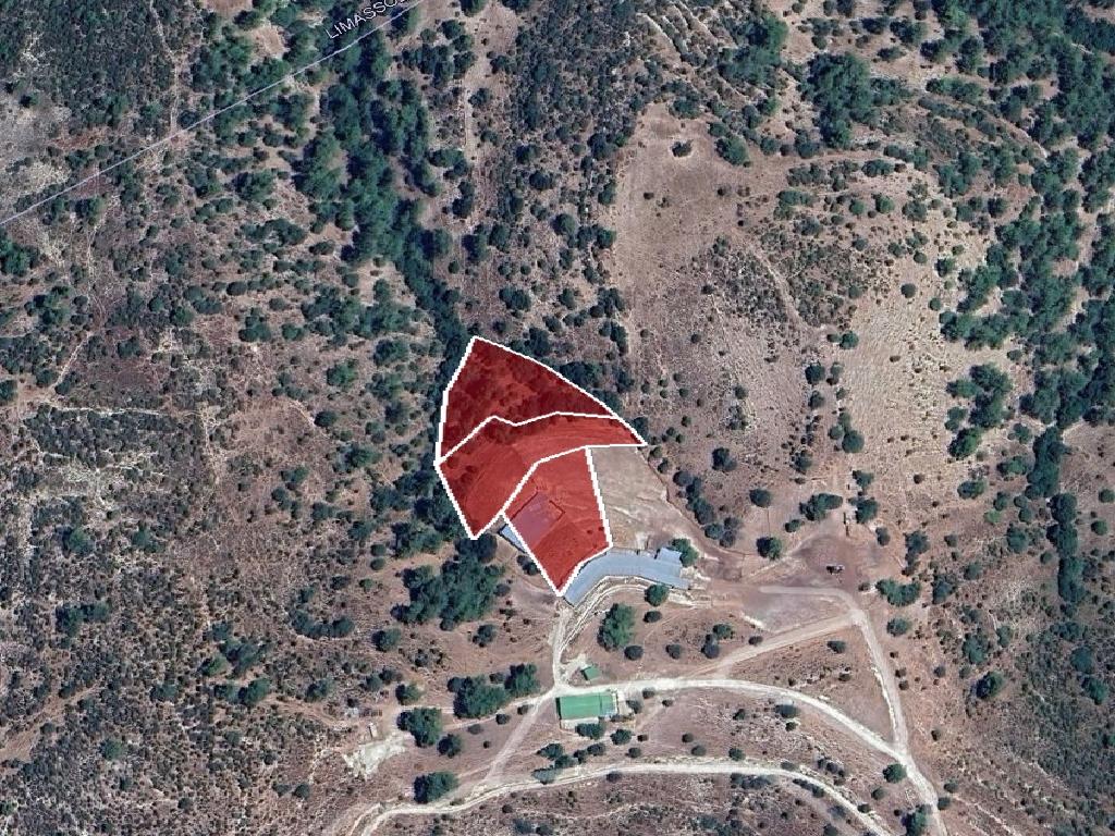 Field-Anogira-CP10057