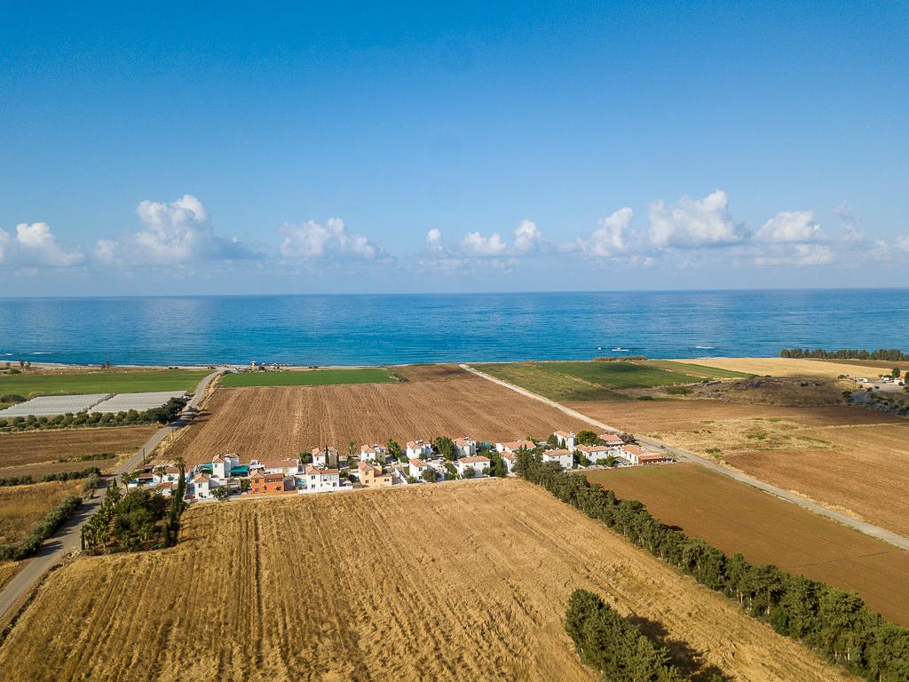 Field - Mandria, Paphos