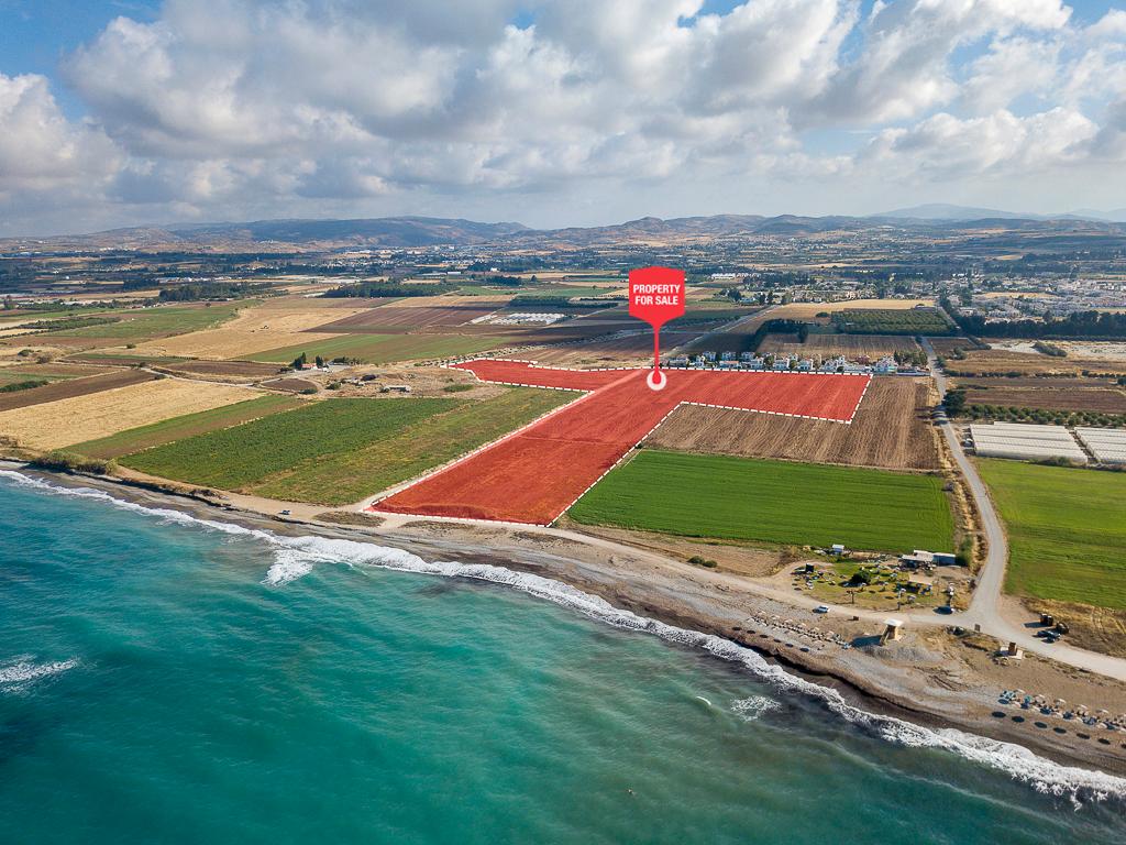 Field - Mandria, Paphos