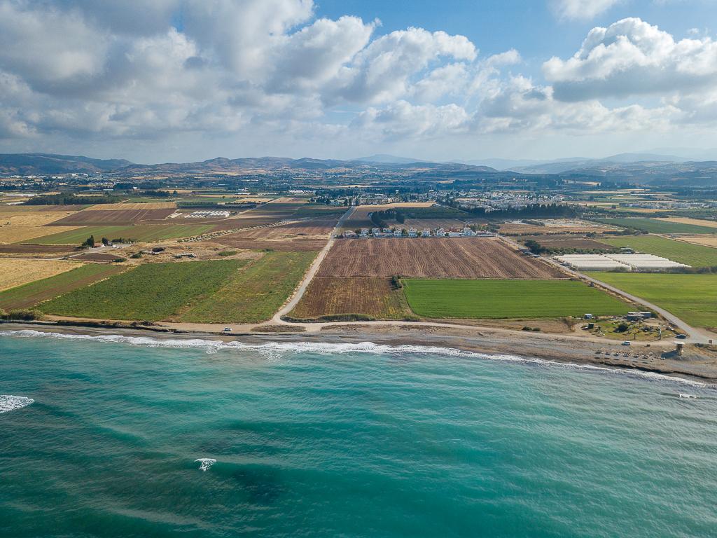 Field - Mandria, Paphos