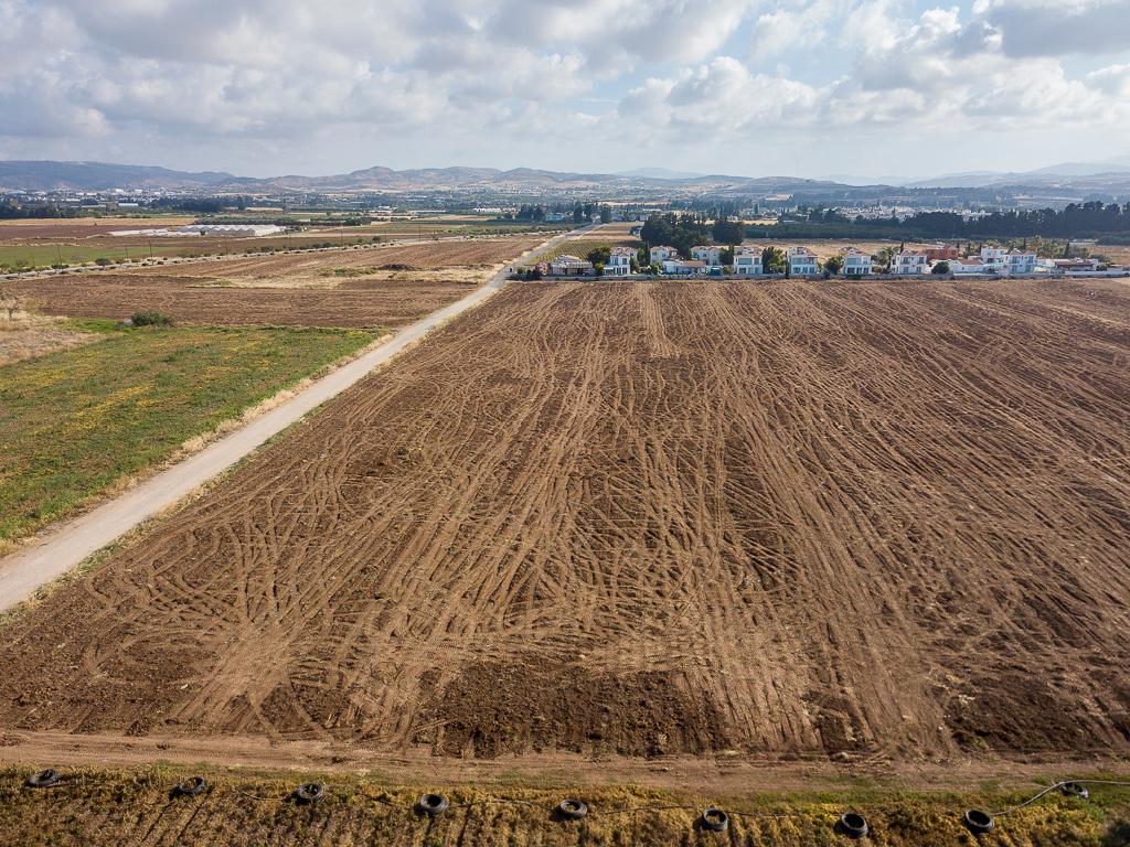 Field - Mandria, Paphos