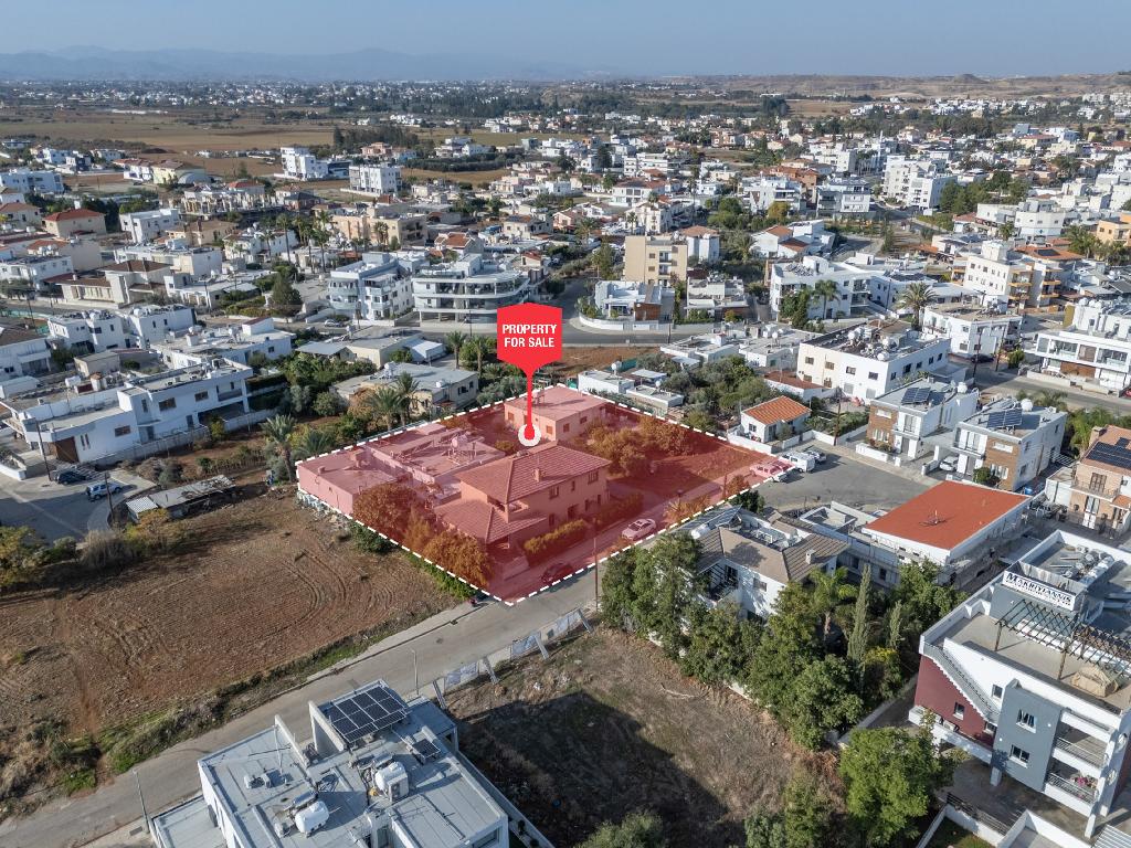 &Kappa;&alpha;&tau;&omicron;&iota;&kappa;ί&alpha; (&Mu;&epsilon;&rho;ί&delta;&iota;&alpha;) - &Lambda;&alpha;&kappa;&alpha;&tau;ά&mu;&epsilon;&iota;&alpha;, &Lambda;&epsilon;&upsilon;&kappa;&omega;&sigma;ί&alpha;