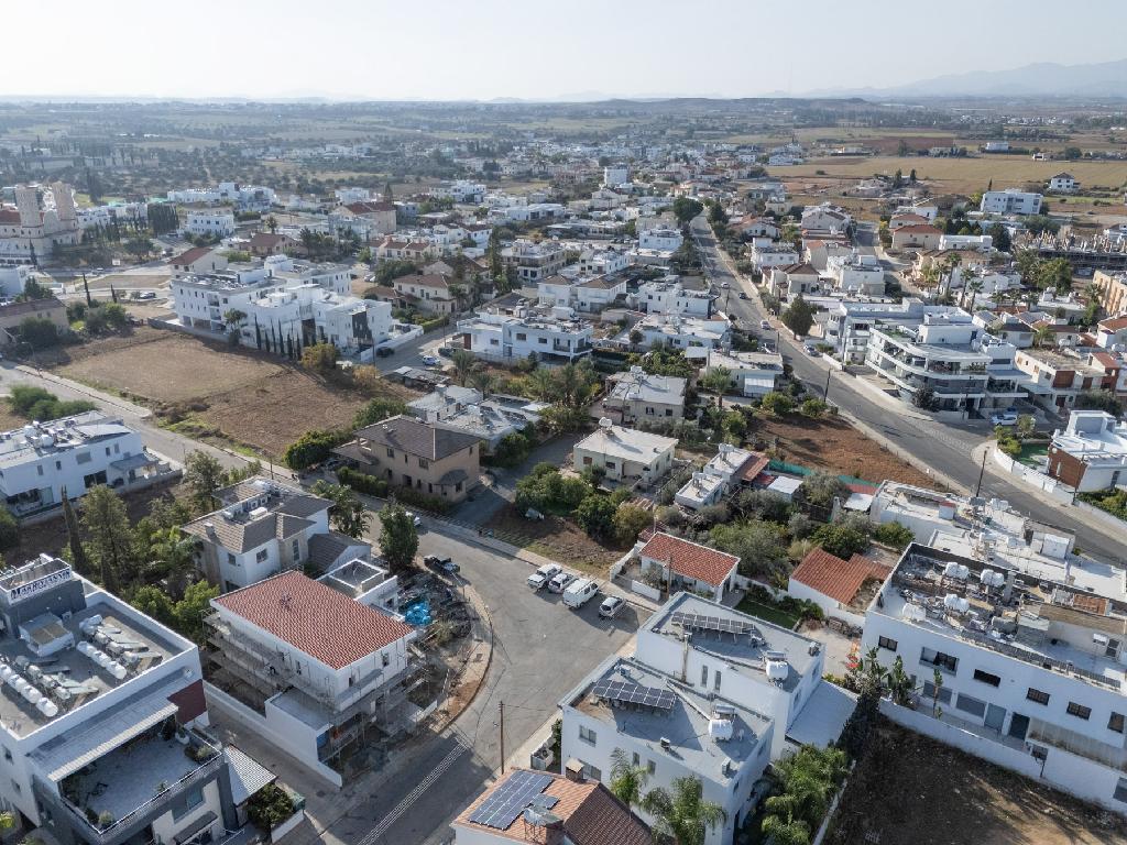 &Kappa;&alpha;&tau;&omicron;&iota;&kappa;ί&alpha; (&Mu;&epsilon;&rho;ί&delta;&iota;&alpha;) - &Lambda;&alpha;&kappa;&alpha;&tau;ά&mu;&epsilon;&iota;&alpha;, &Lambda;&epsilon;&upsilon;&kappa;&omega;&sigma;ί&alpha;