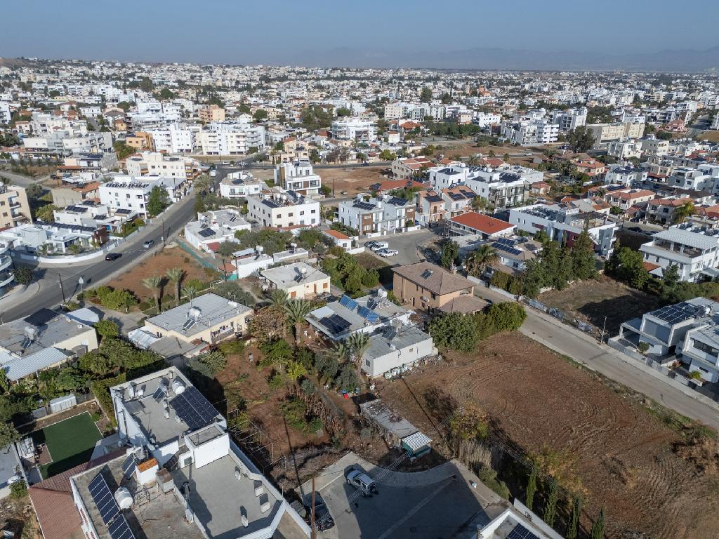 &Kappa;&alpha;&tau;&omicron;&iota;&kappa;ί&alpha; (&Mu;&epsilon;&rho;ί&delta;&iota;&alpha;) - &Lambda;&alpha;&kappa;&alpha;&tau;ά&mu;&epsilon;&iota;&alpha;, &Lambda;&epsilon;&upsilon;&kappa;&omega;&sigma;ί&alpha;